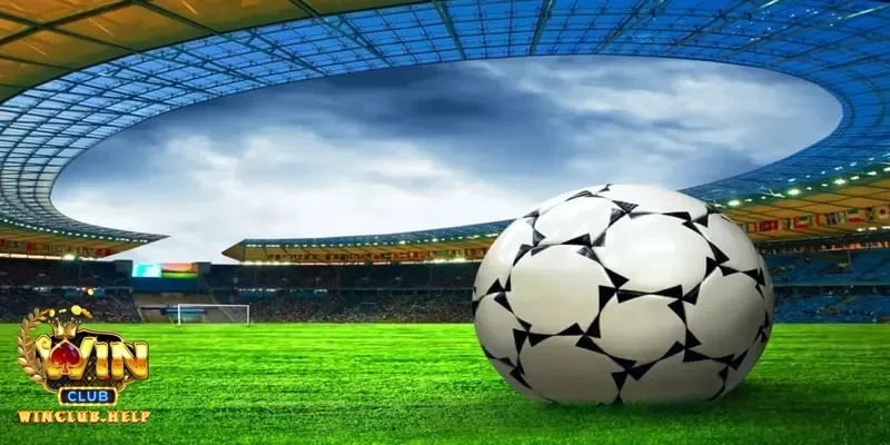 Nhận diện kèo dụ khi soi kèo nhà cái chuẩn bằng cách theo dõi tâm lý